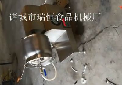 迷你(ni)实验用(yong)滚揉